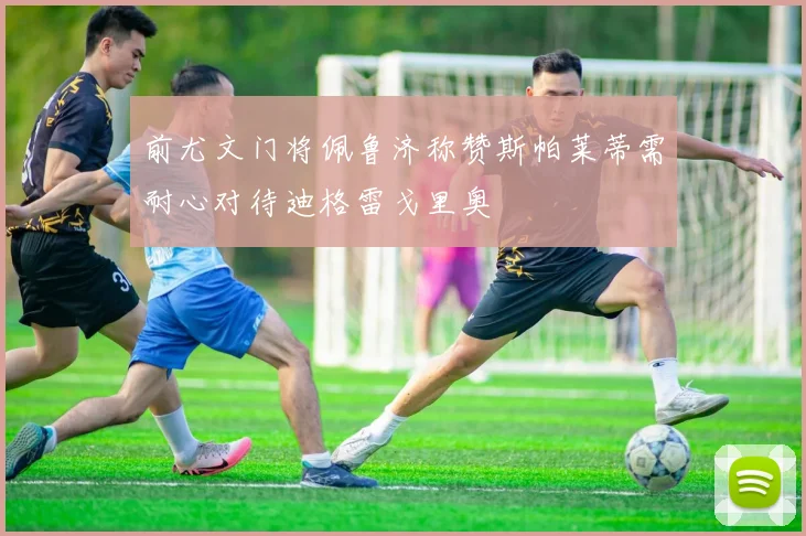 前尤文门将佩鲁济称赞斯帕莱蒂需耐心对待迪格雷戈里奥
