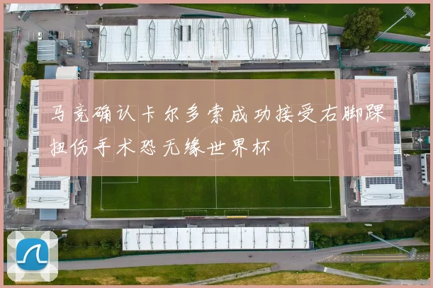 马竞确认卡尔多索成功接受右脚踝扭伤手术恐无缘世界杯