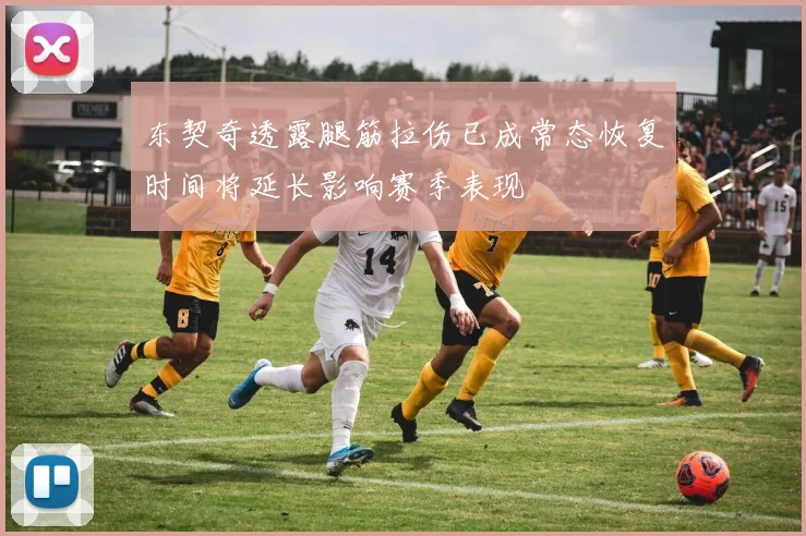 东契奇透露腿筋拉伤已成常态恢复时间将延长影响赛季表现