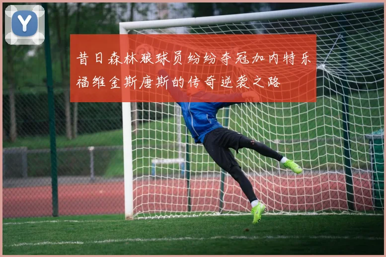 昔日森林狼球员纷纷夺冠加内特乐福维金斯唐斯的传奇逆袭之路